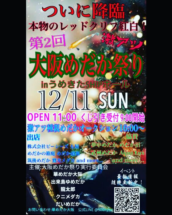 画像1369