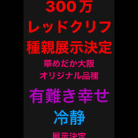画像1423