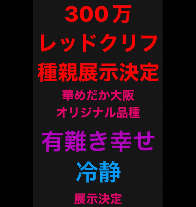 画像1423