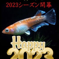 画像1469