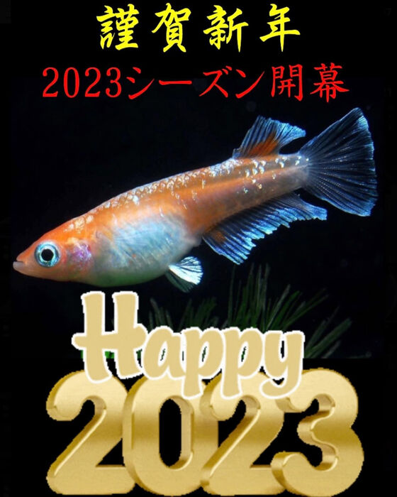 画像1469