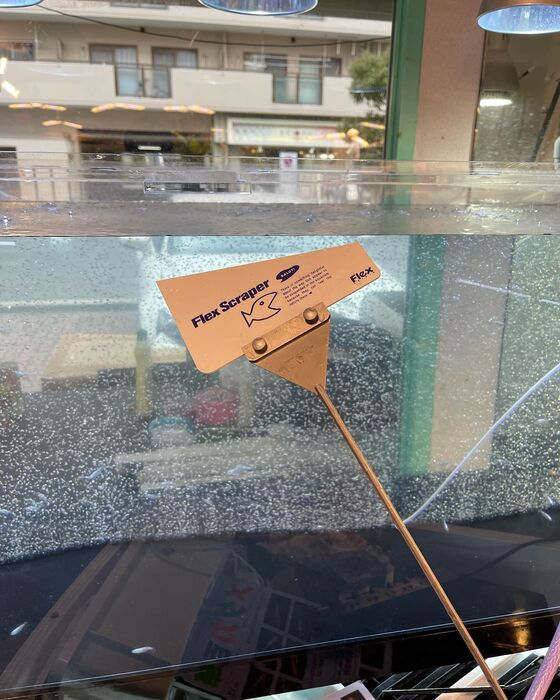 画像1479