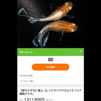 画像1530