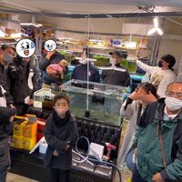画像1541