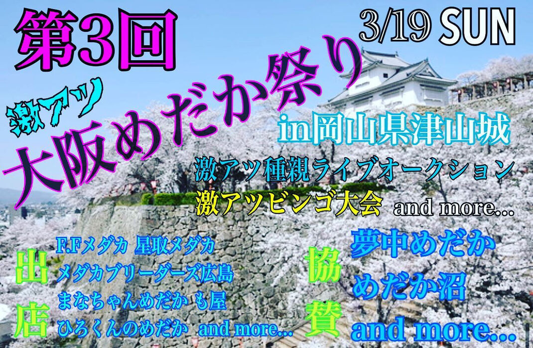 画像1548