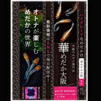 画像1557