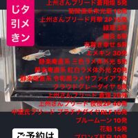 画像1575
