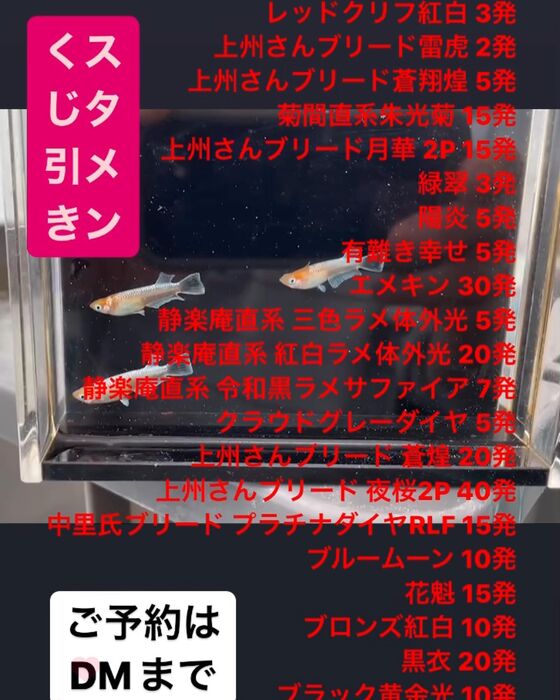 画像1575