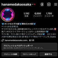 画像1747