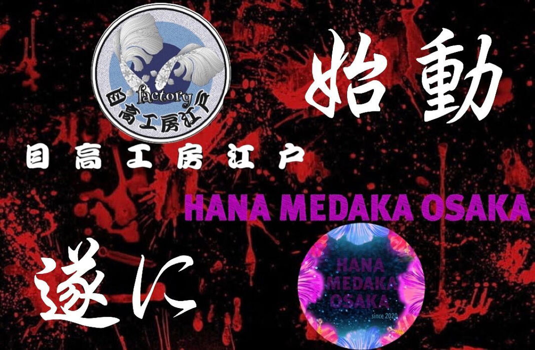 画像1752