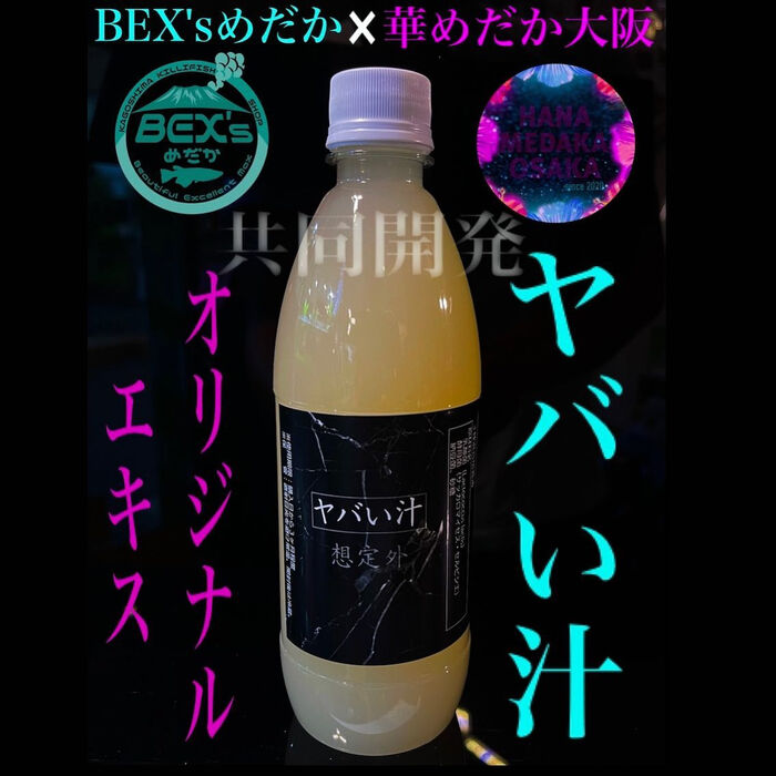 画像1768